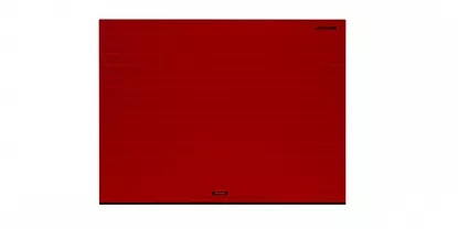 Подъемные ворота DoorHan RSD01BIW красные 3000х2300 мм